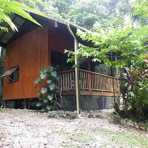 Epiphyte Bed & Breakfast Cow Bay